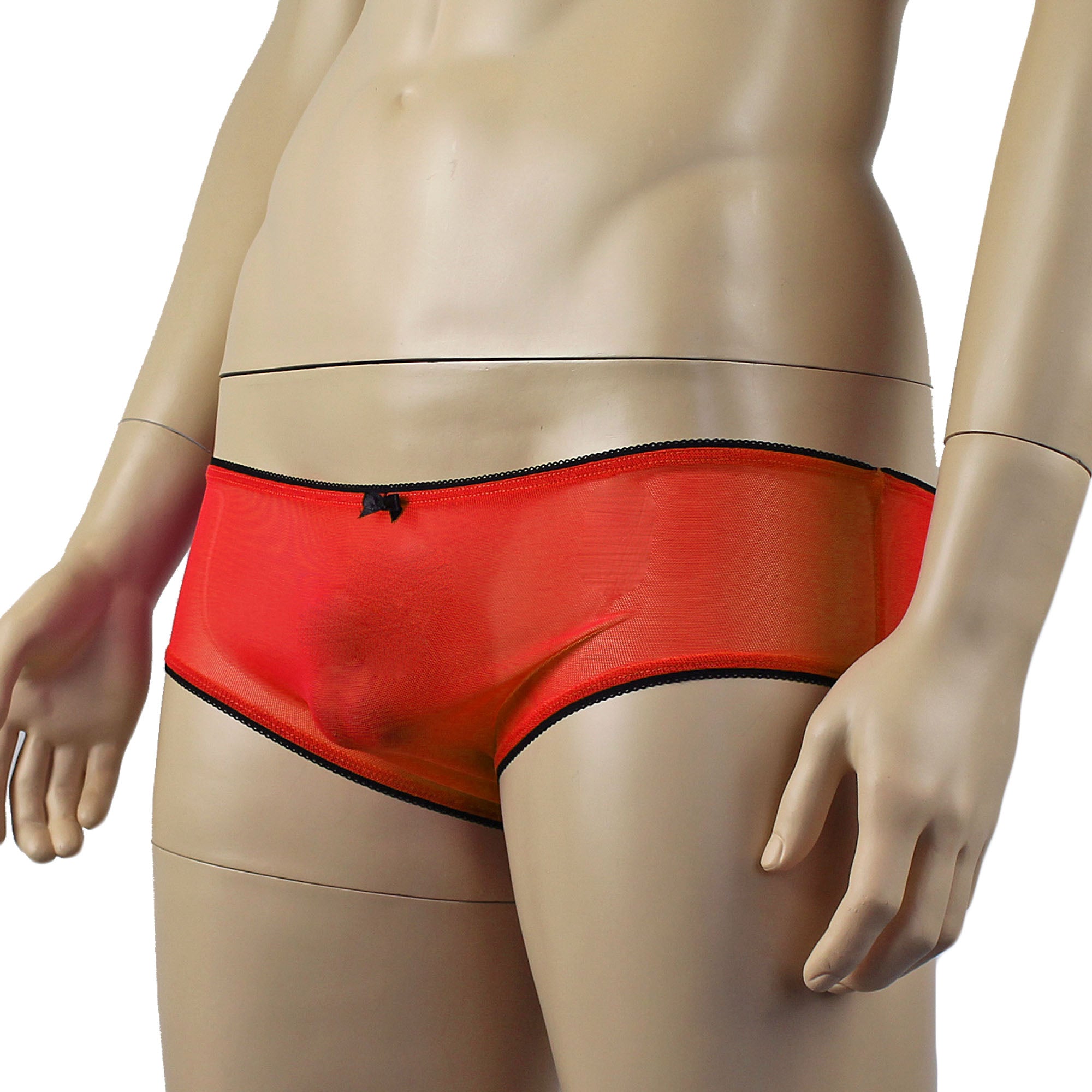 Mens Sheer Mesh Panty with Black Pico Elastic (red plus other colours)