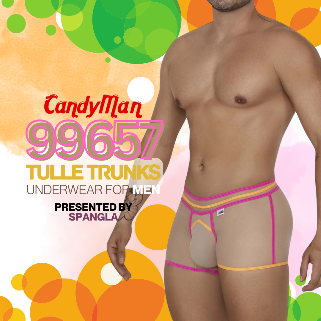 A Unique Take on the Classic Trunk Boxer Briefs Underwear for Men by Candyman