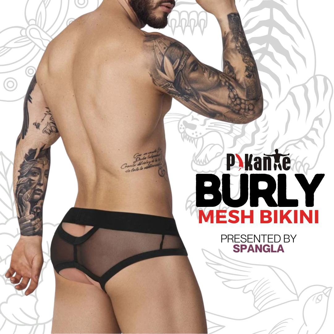 Strong and Sexy Vibes Exhibited With Ease by the Pikante Burly Mesh Briefs Underwear
