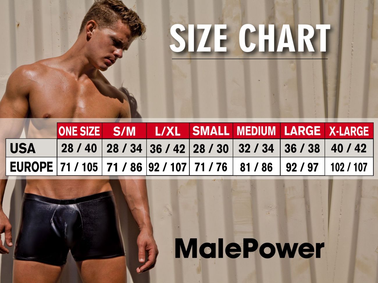 Male Power 590-266 Leather Aries Harness