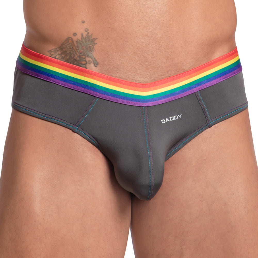 Daddy DDJ027 LGBT Pride Rainbow Waistband Brief Underwear for Men