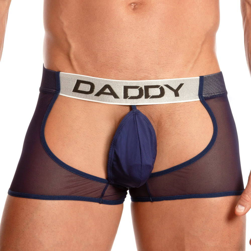 Daddy Underwear DDE036 Assless Chaps Sheer Mesh See-thru Jock Undies for Men
