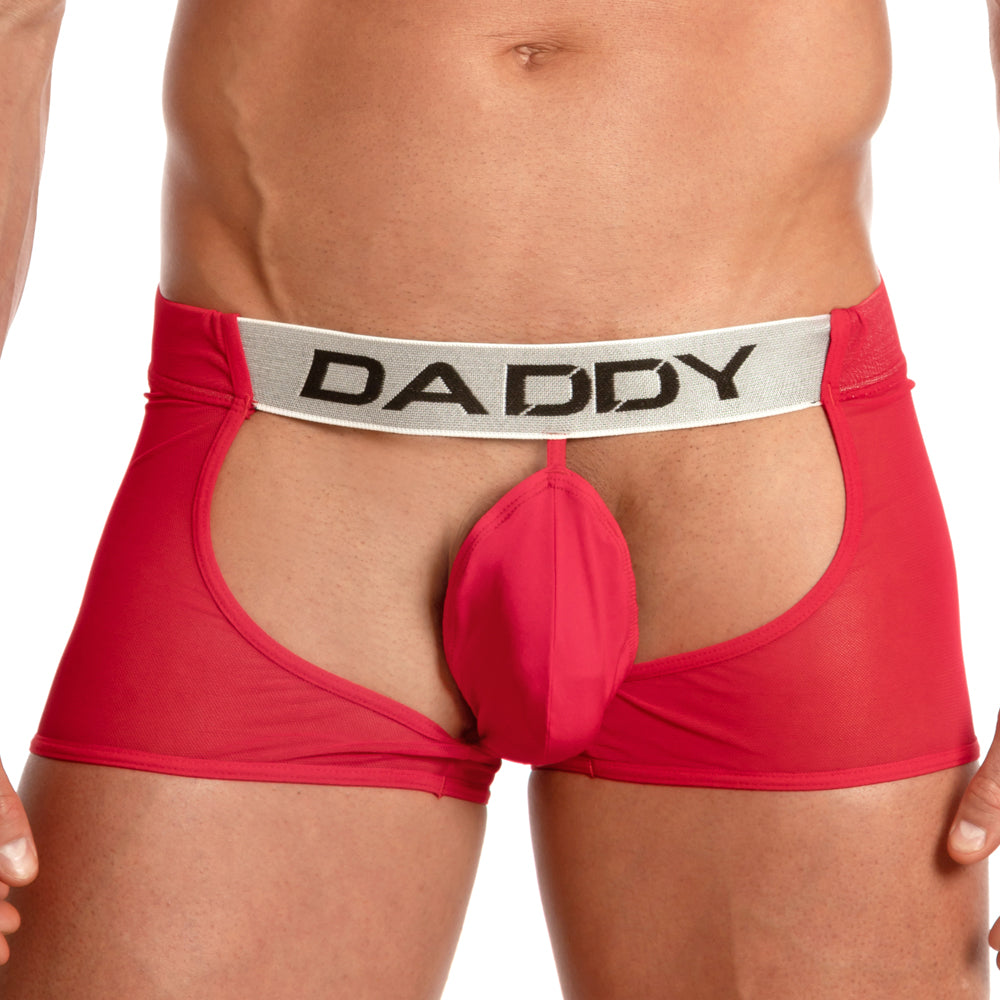 Daddy Underwear DDE036 Assless Chaps Sheer Mesh See-thru Jock Undies for Men